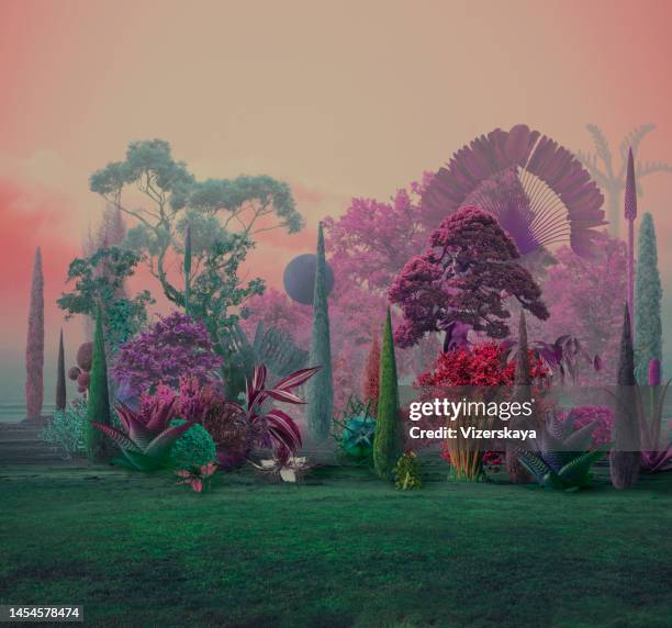 surreal nature background - buiten de steden gelegen gebied stockfoto's en -beelden