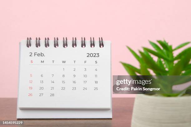 calendar desk 2023: february is the month for the organizer to plan and deadline with a houseplant against a grayish red paper background. - february stock pictures, royalty-free photos & images