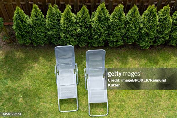 two garden loungers in a meadow, arborvitaes (thuja) or thujen, hedge, wooden fence, privacy screen, front garden, germany - american arborvitae stock pictures, royalty-free photos & images