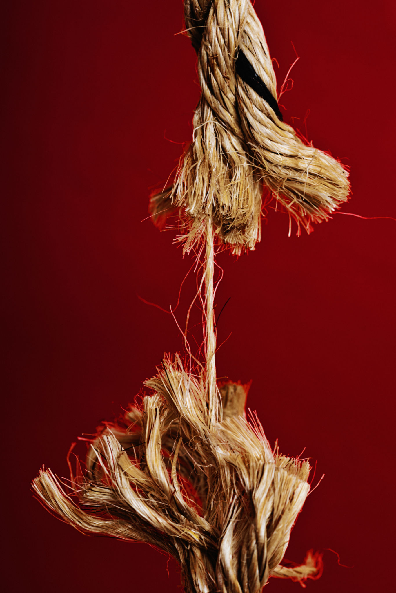 Fraying rope at breaking point, symbolizing danger and weakness Fraying rope at breaking point, symbolizing danger and weakness