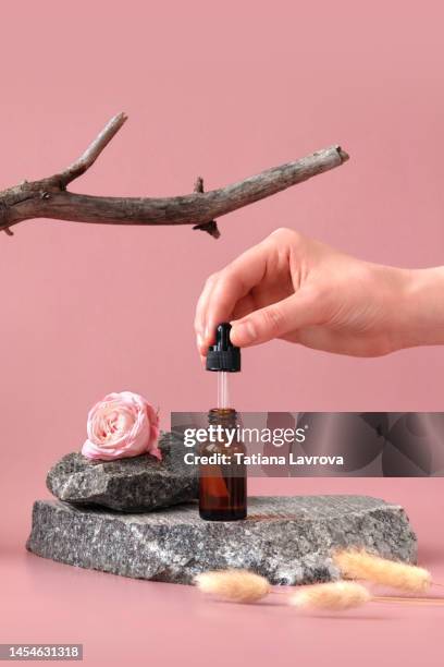 hand taking pipette from amber glass dropper bottle standing on a stone. natural minimalistic still life composition with roses, branches and dry rabbit tail grass on pink background - jojoba oil stock pictures, royalty-free photos & images