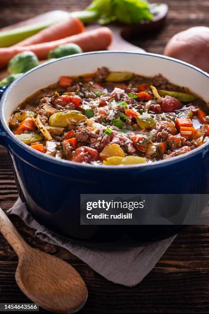 italian beef vegetable stew - ground beef stew stock pictures, royalty-free photos & images