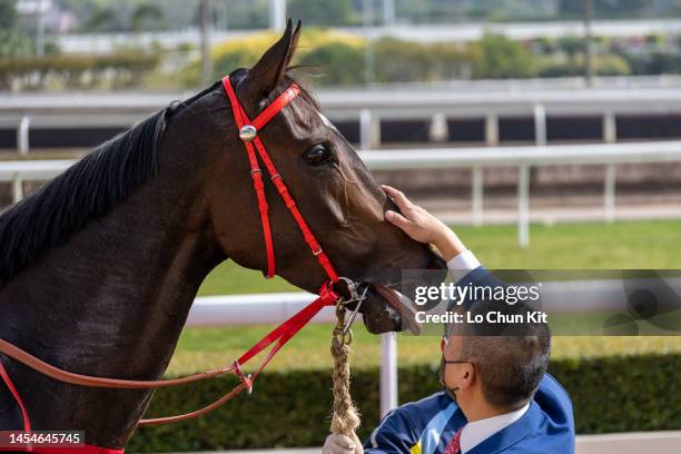 January 1 : Trainer Danny Shum Chap-shing pats the head of Supreme Lucky after winning the Race 4 Poplar Handicap at Sha Tin Racecourse on January 1,...