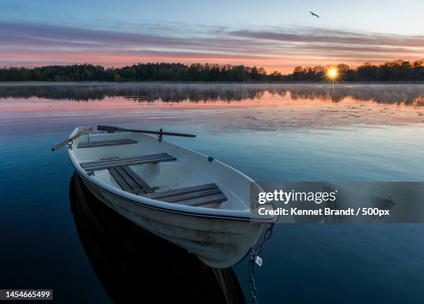 scenic view of lake against sky during sunset,sweden - 划艇 個照片及圖片檔