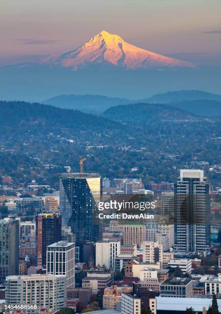 alpenglow mt hood portland. - portland - oregon stock pictures, royalty-free photos & images