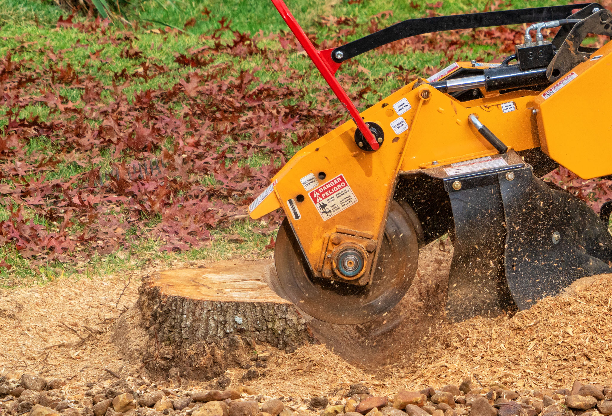 tree stump removal