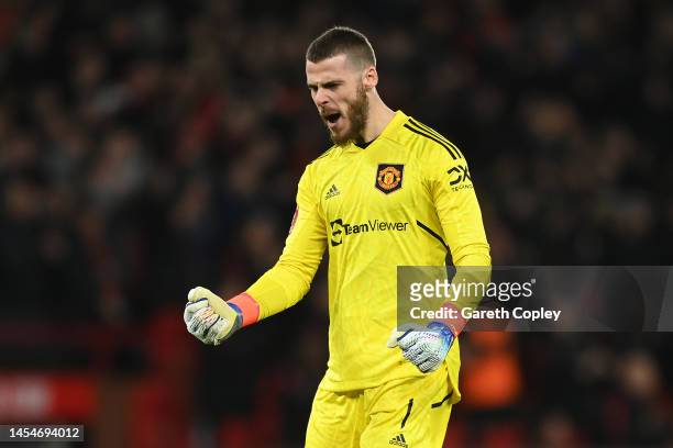 David De Gea of Manchester United celebrates their team's second goal, an own goal scored by Conor Coady of Everton during the Emirates FA Cup Third...