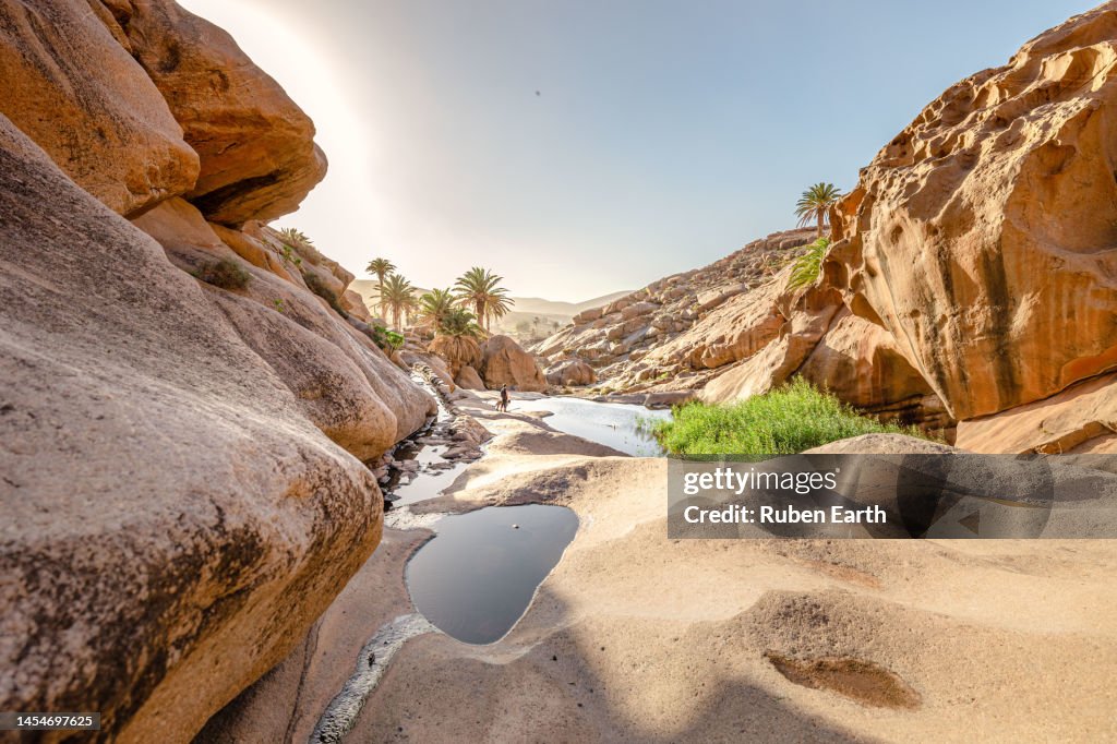 The effect of climate change in Fuerteventura