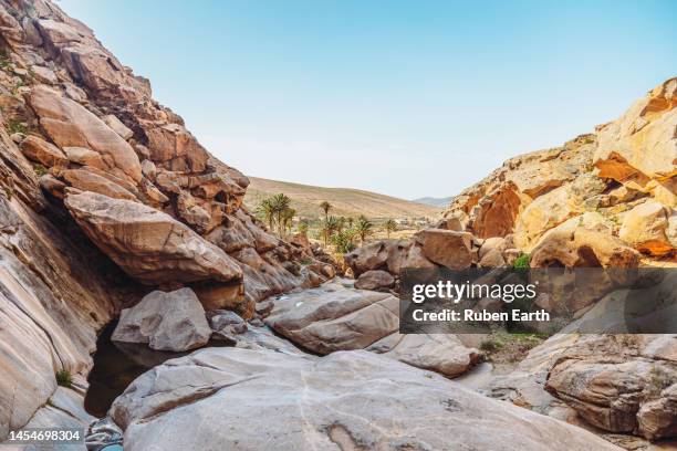 rock formations in fuerteventura's desert at sunrise - vulkanisch gesteente stockfoto's en -beelden