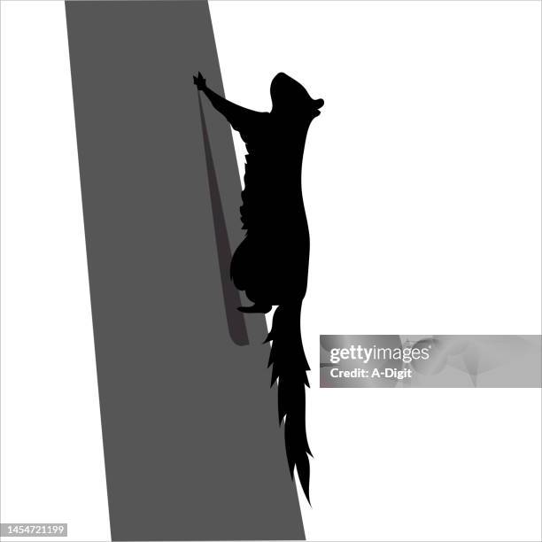 squirrel on a tree grey silhouette - squirrel isolated stock illustrations