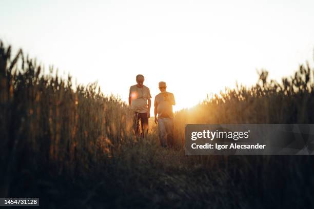 farmers using gps in wheat field - south american culture stock pictures, royalty-free photos & images