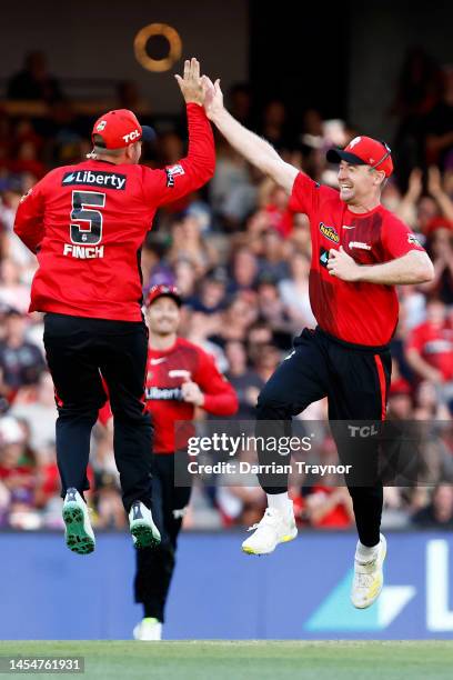 Aaron Finch of the Melbourne and Tom Rogers of the Renegades celebrates the run out of Matthew Wade of the Hobart Hurricanes during the Men's Big...