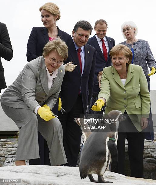 Valentina Pivnenko, chairwoman of the Baltic Sea Parliamentary Conference, Danish Prime Minister Helle Thorning-Schmidt, European Commission...