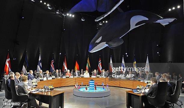 The members of the Council of the Baltic Sea States sit under models of whales at the Ozeaneum sea museum as they attend the plenary session of the...