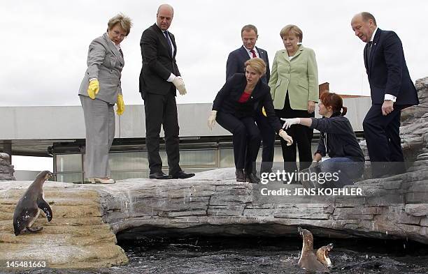 Chairwoman of the Baltic Sea Parliamentary Conference Valentina Pivnenko, Sweden's PM Frederik Reinfeldt, Danish Prime Minister Helle...