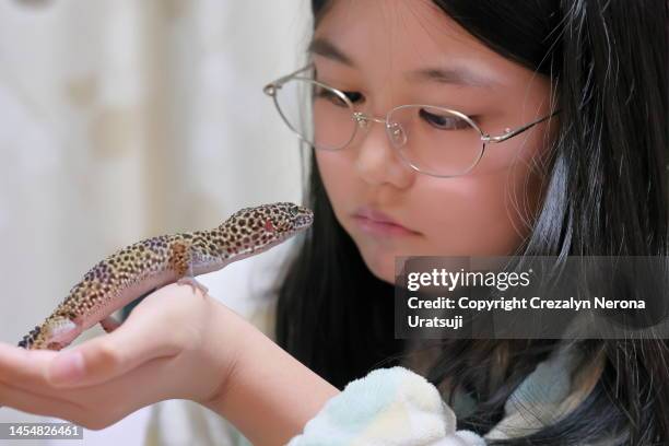 child petting her japanese grass lizard. cute pet on hand,side view/profile view. - leopard gecko stockfoto's en -beelden