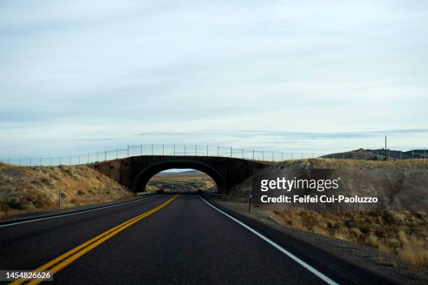road and bridge near wells - nevada stock pictures, royalty-free photos & images
