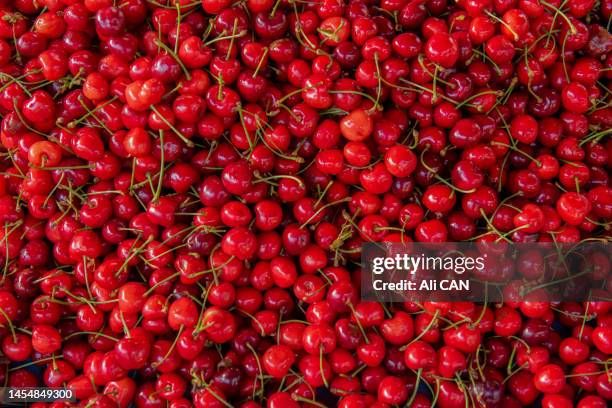 vegetables and fruits - cherries stockfoto's en -beelden