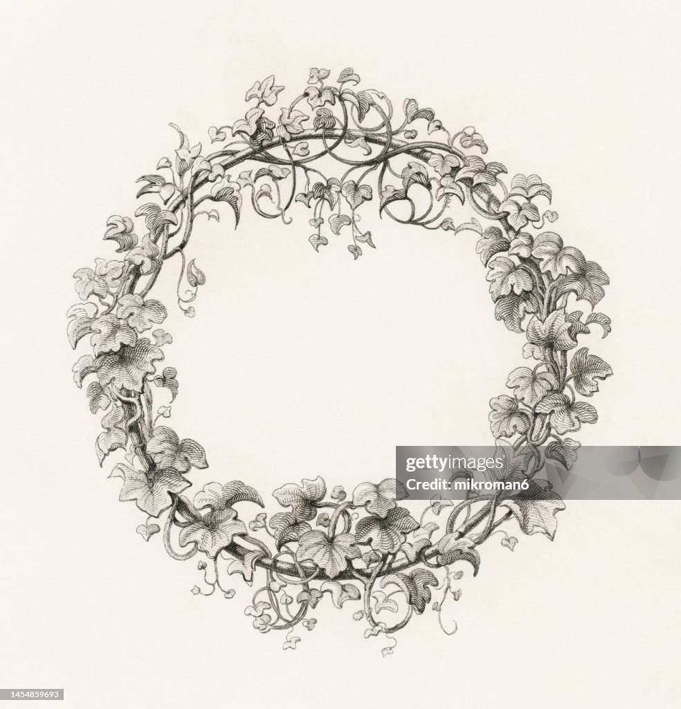 Old engraved illustration of decorative ornament frame