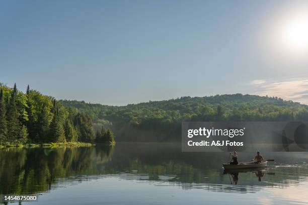 couple canoeing in early morning. - quebec stock pictures, royalty-free photos & images