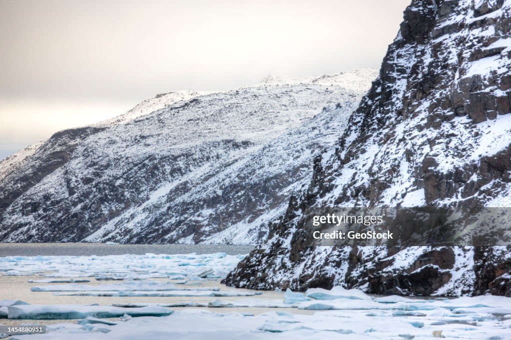 Polar bear on an ice floe