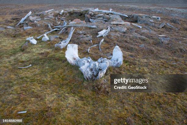 ruin of an ancient thule house - qaanaaq stock pictures, royalty-free photos & images