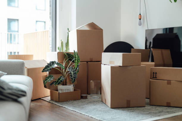 Where to Buy Moving Boxes in South Africa? 1 house moving inspires changes in life
