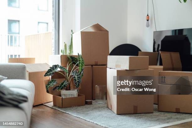 a new beginnings: house moving inspires changes in life - carton box stock pictures, royalty-free photos & images