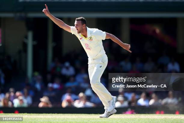 Josh Hazlewood of Australia celebrates after taking the wicket of Heinrich Klaasen of South Africa during day five of the Third Test match in the...
