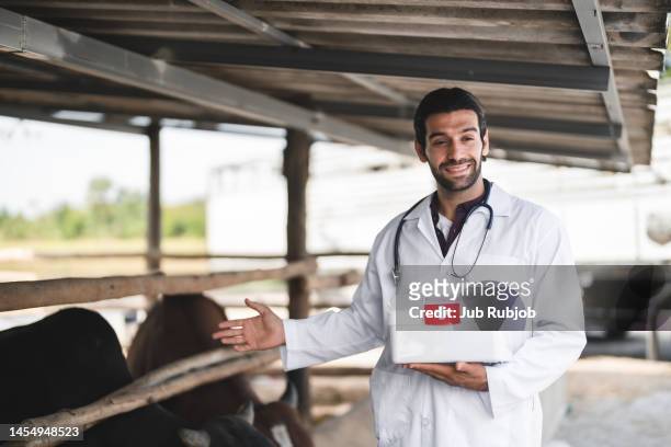 cow care worker looking at camera with smile in beef farm. - vaccination barn asian stock pictures, royalty-free photos & images