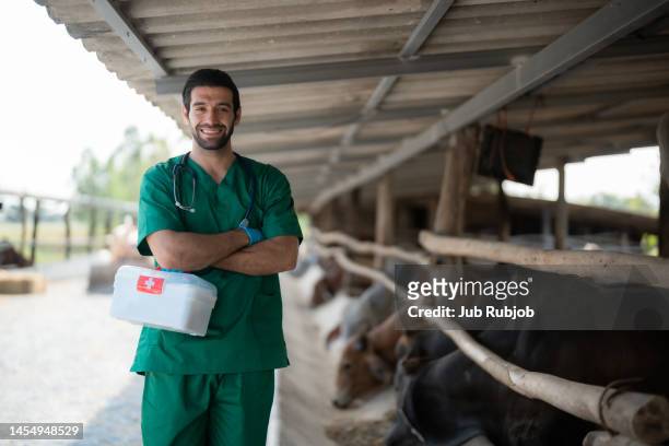 cow care worker looking at camera with smile in beef farm. - vaccination barn asian stock pictures, royalty-free photos & images
