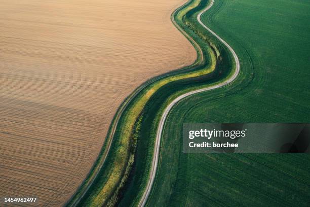 aerial view on spring fields - voetpad stockfoto's en -beelden