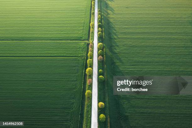 aerial view on idyllic tree-lined country road - slovenia spring stock pictures, royalty-free photos & images