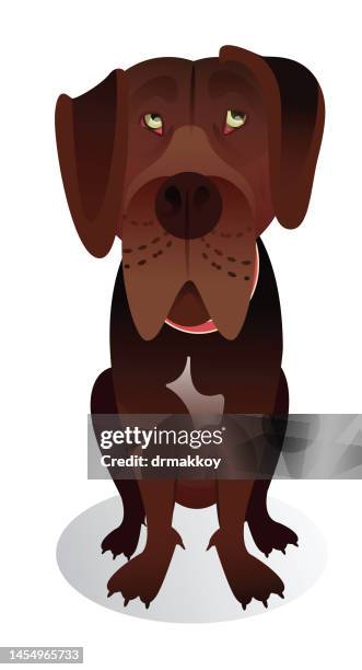 cane corso dog - mastiff stock illustrations