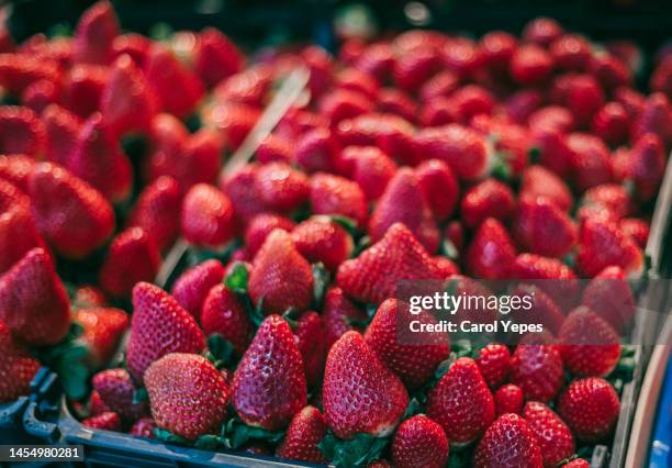 strawberries displayed in market stall - strawberry stock pictures, royalty-free photos & images