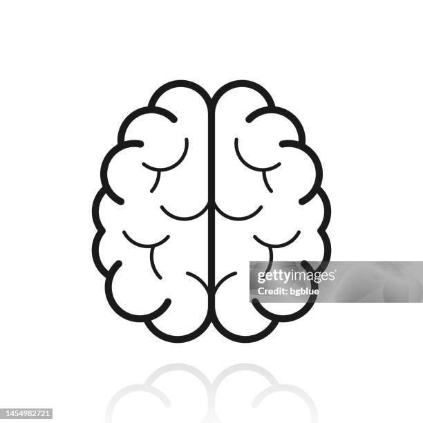 brain in top view. icon with reflection on white background - human-brain-top-view stock illustrations