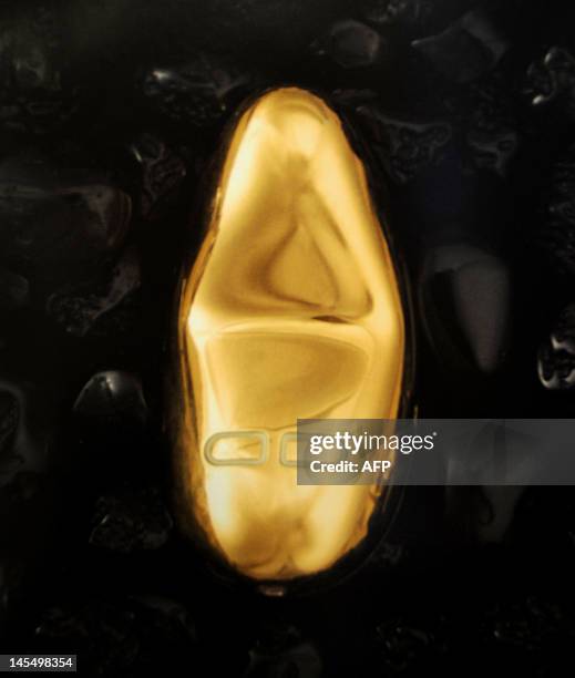 Reproduction picture of a luxury gold plated vibrator worth 8,000 real that was robbed on the eve from the Erotika Luxo sex shop, in Brasilia, on May...