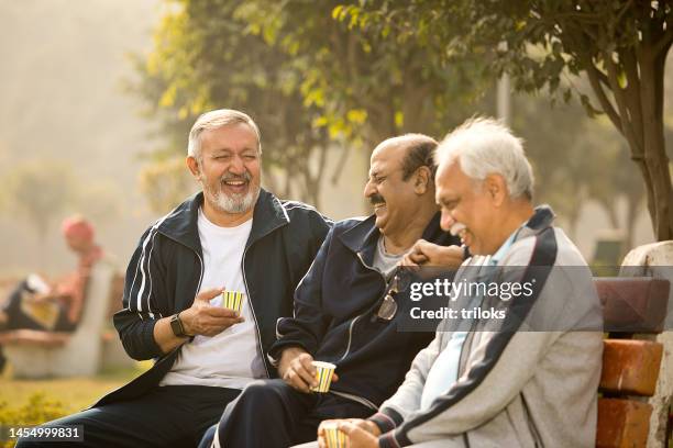 alte männliche freunde haben spaß im park - tee indien trinken stock-fotos und bilder