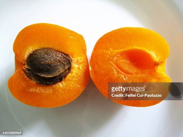 cross section of an apricot - cross section stock photos et images de collection