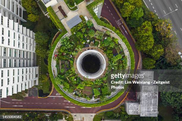 urban garden auf dem dach eines parkhauses in singapur - singapore gardens stock-fotos und bilder