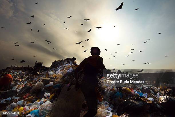 Woman carries a bag with rubbish as birds fly on the sky at Jardim Gramacho, the biggest open air garbage dump in Latin American on its closing day...