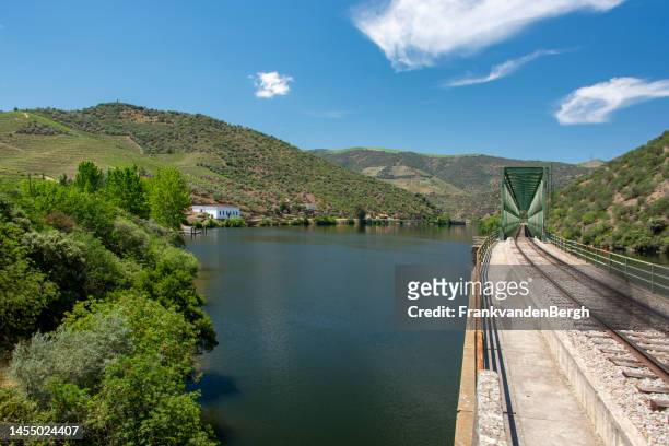douro - portugal vineyard stock pictures, royalty-free photos & images
