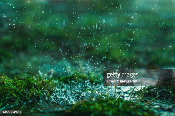 regen-tropfen - pfütze stock-fotos und bilder