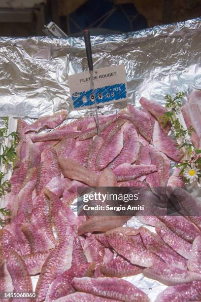 senegalese red mullet fillets - senegal fish stock pictures, royalty-free photos & images