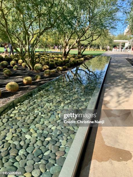 sunnylands - sunnylands stock pictures, royalty-free photos & images