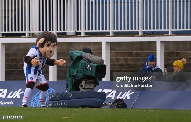 Hartlepool Monkey Photos and Premium High Res Pictures - Getty Images