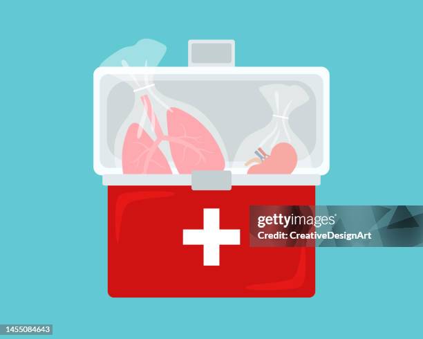 organ donation and transplantation concept with donor lungs and kidney in transplant box - kidney donation stock illustrations