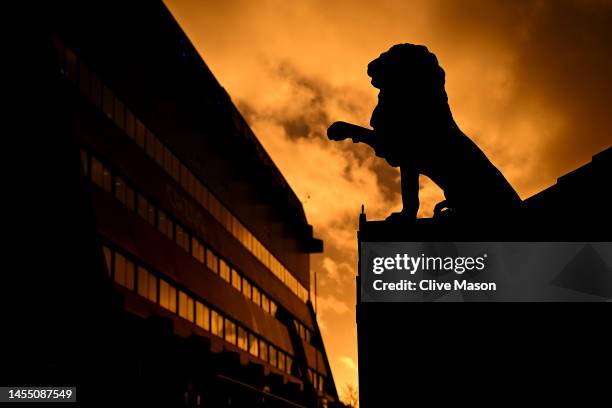 Silhouette of a statue of a lion outside the stadium as the sun sets prior to the Emirates FA Cup Third Round match between Aston Villa and Stevenage...