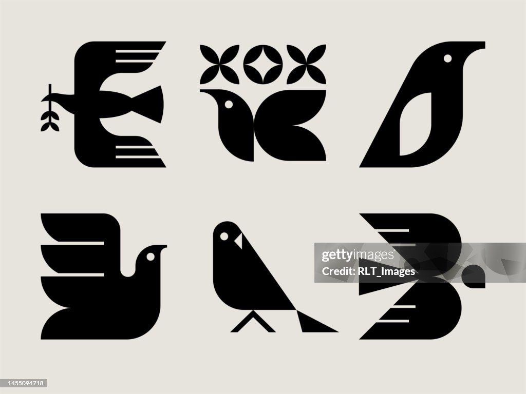 Iconos de aves modernas de mediados de siglo