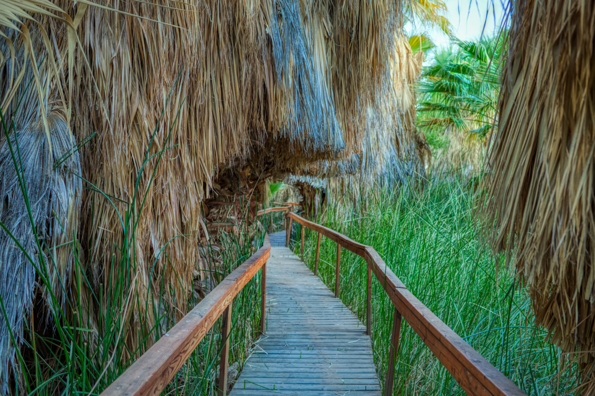 coachella valley preserve